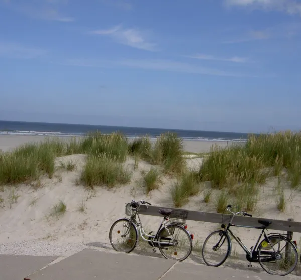 Radfahren in Zeeland