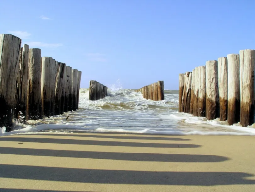 Swimming in Zeeland
