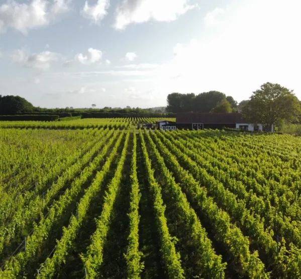 De Boe Wine Estate